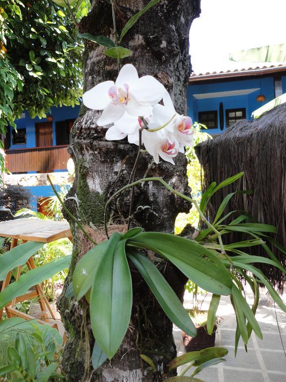 Pousada Dos Meros Hotel Vila do Abraao Exterior photo